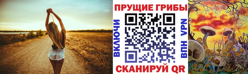 Галлюциногенные грибы Magic Shrooms  Купить где  Бронницы 